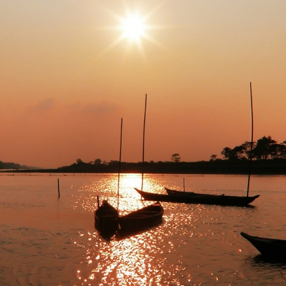 Meet your Posher, Darlene - Picture 1 of 1